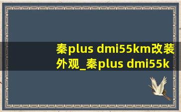 秦plus dmi55km改装外观_秦plus dmi55km改快充